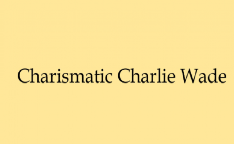 Cerita novel si karismatik charlie wade bahasa indonesia